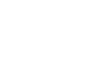 TG4 logo (solid-white) RGB small